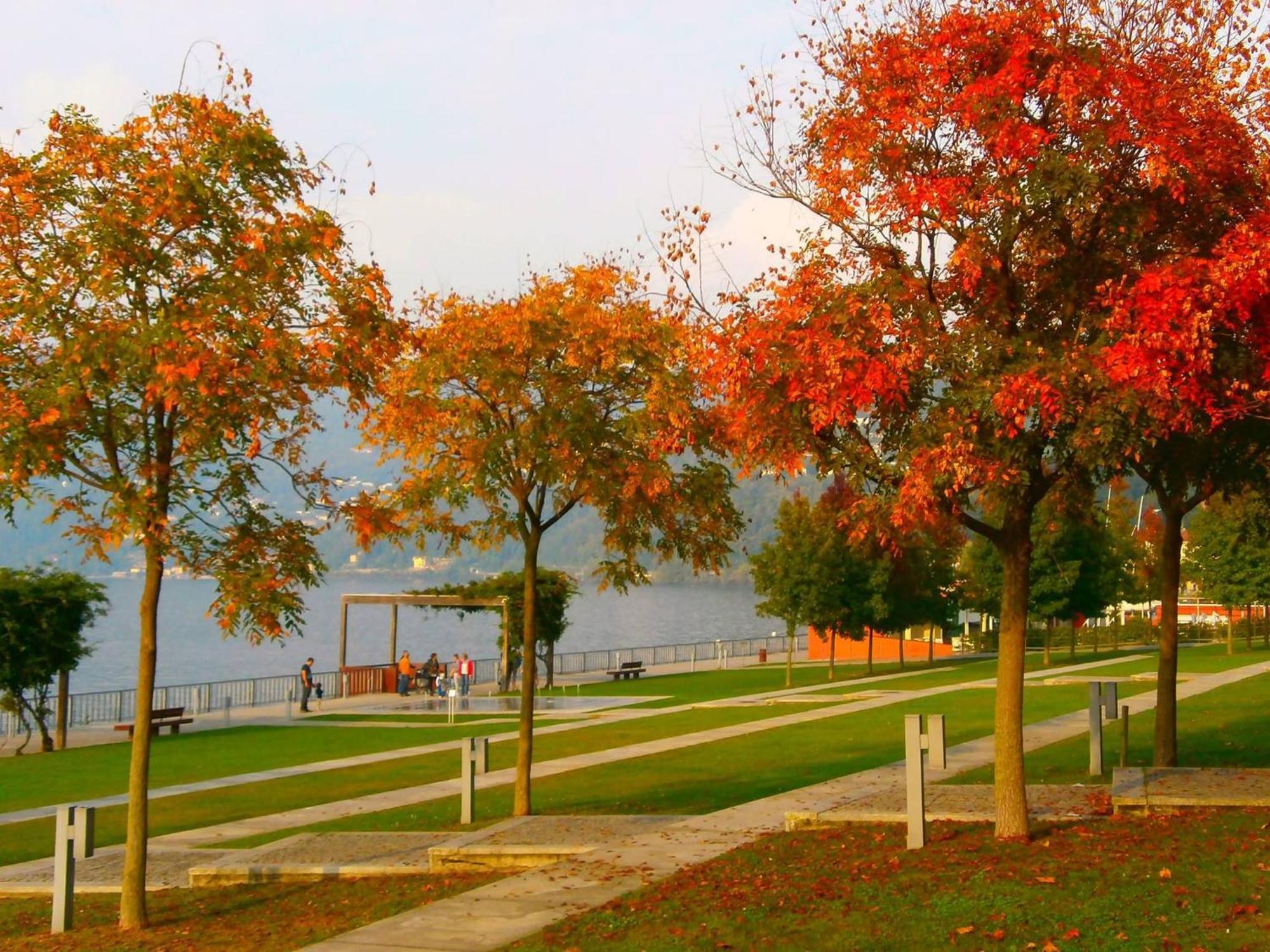 Lago Maggiore Holiday House, Lake View, Vignone Dumenza Exterior foto
